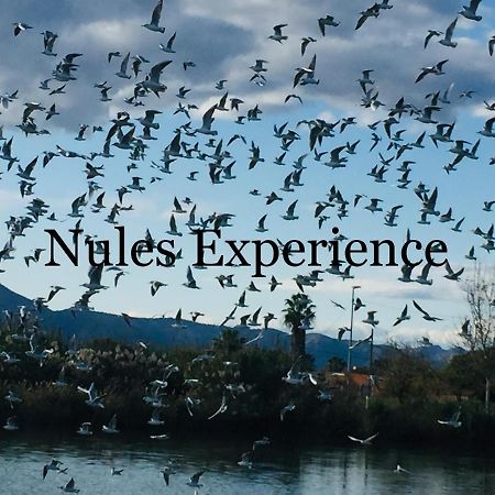 Apartamento Nules Experience Mascarell Екстер'єр фото