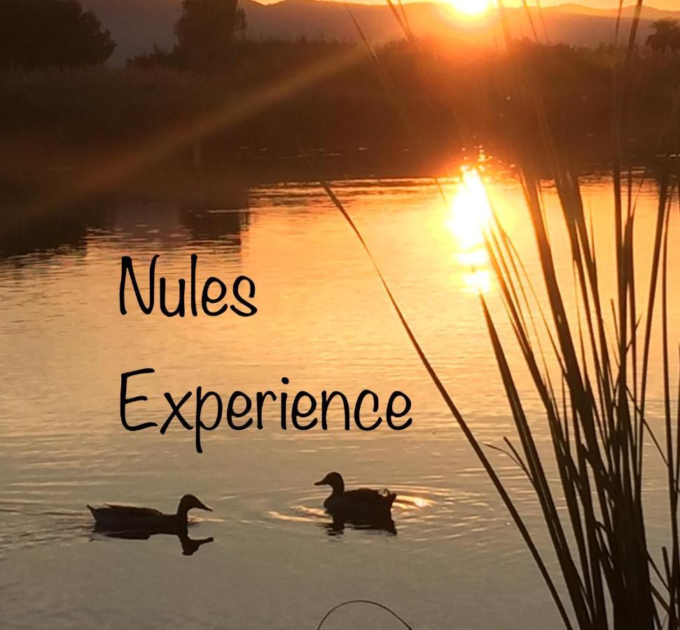 Apartamento Nules Experience Mascarell Екстер'єр фото